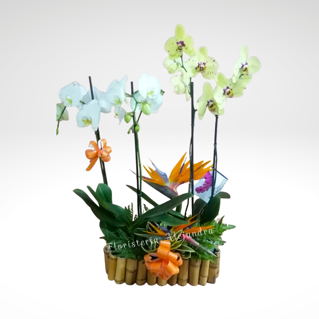 Arreglo floral de Floristería Alejandra