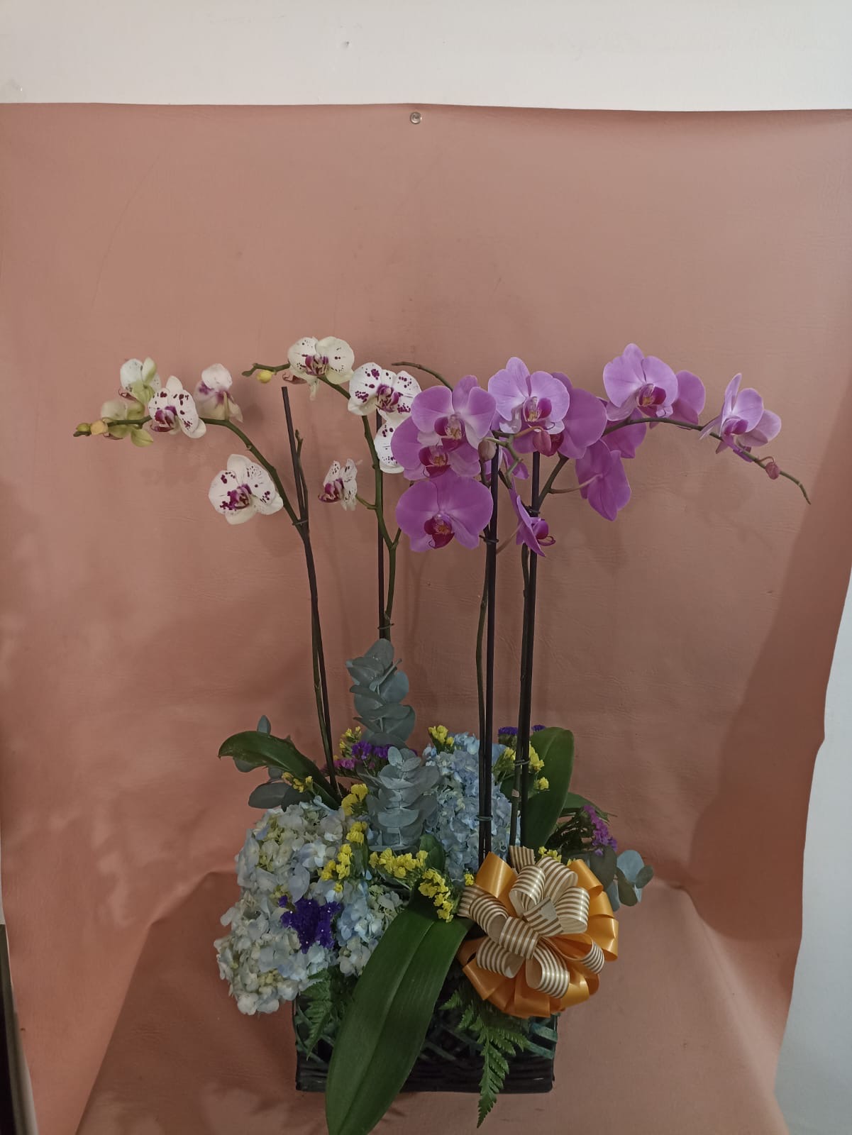 Orquídea 2